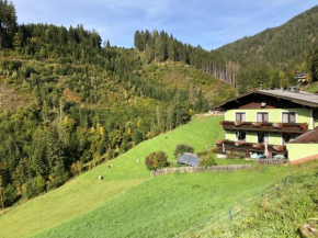Ferienwohnung Staltner